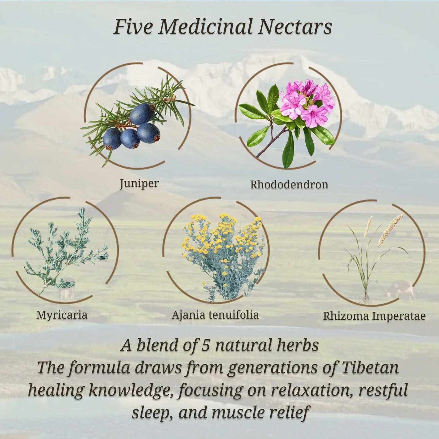 Tibetan Herbal Bath Bomb Gift Set Five Medicinal Nectars